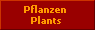 Pflanzen / Plants